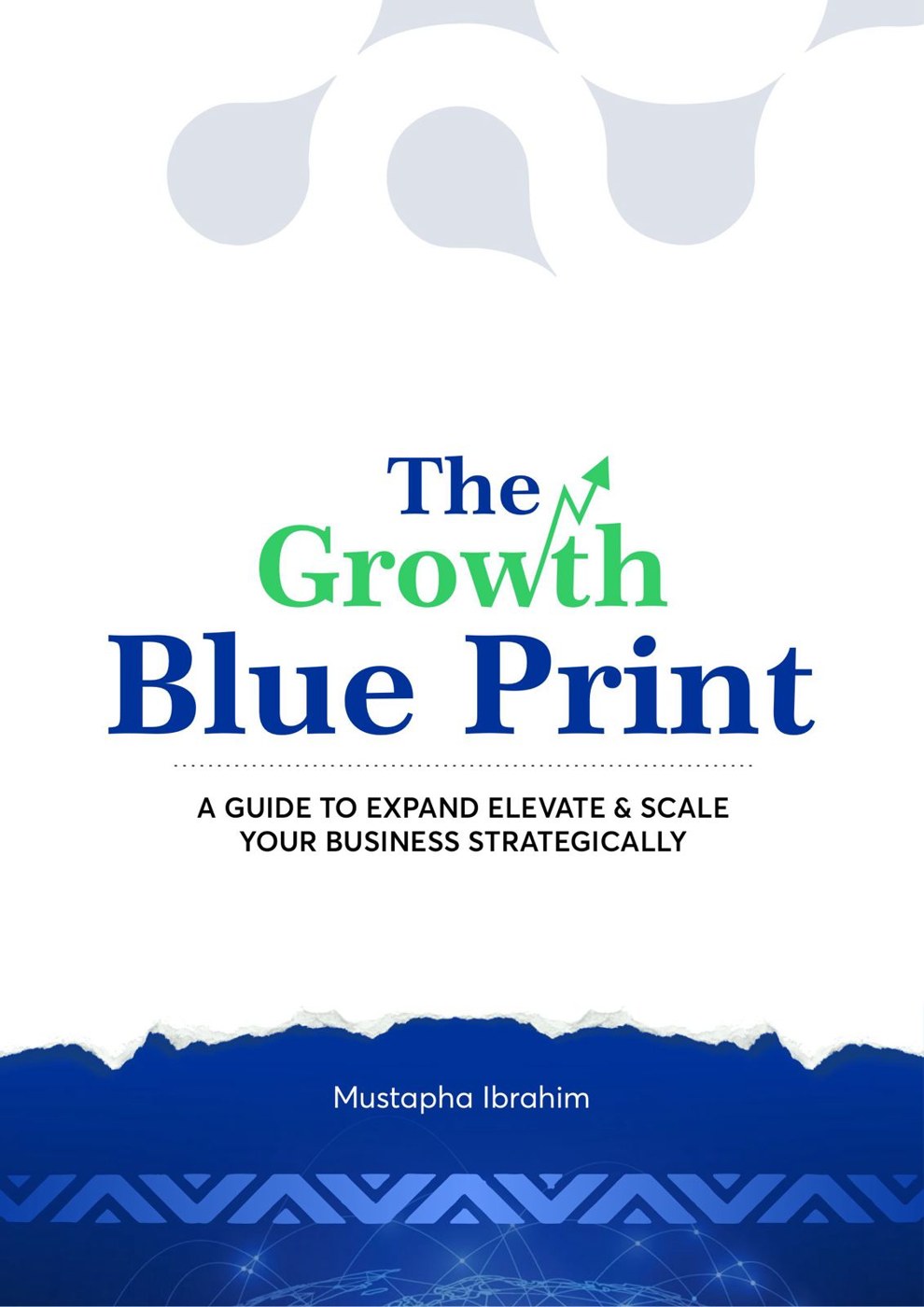 The Growth Blue Print book cover